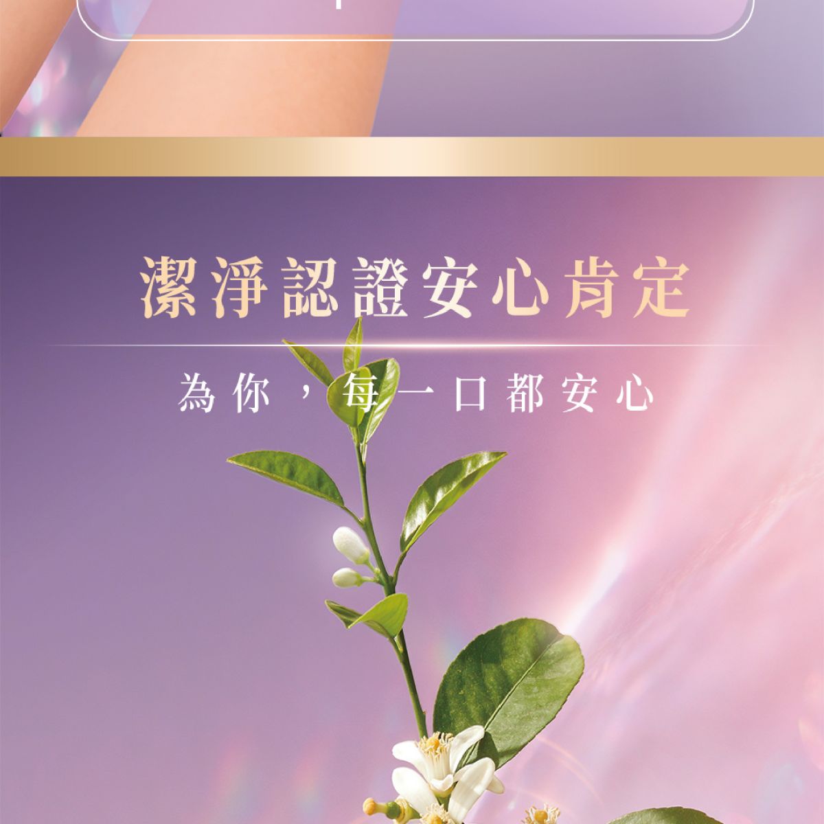 2026中秋禮盒